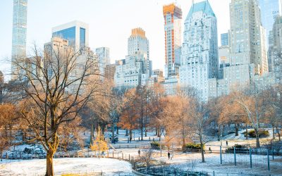 Frequently Asked Questions About Commercial Snow Removal in NYC